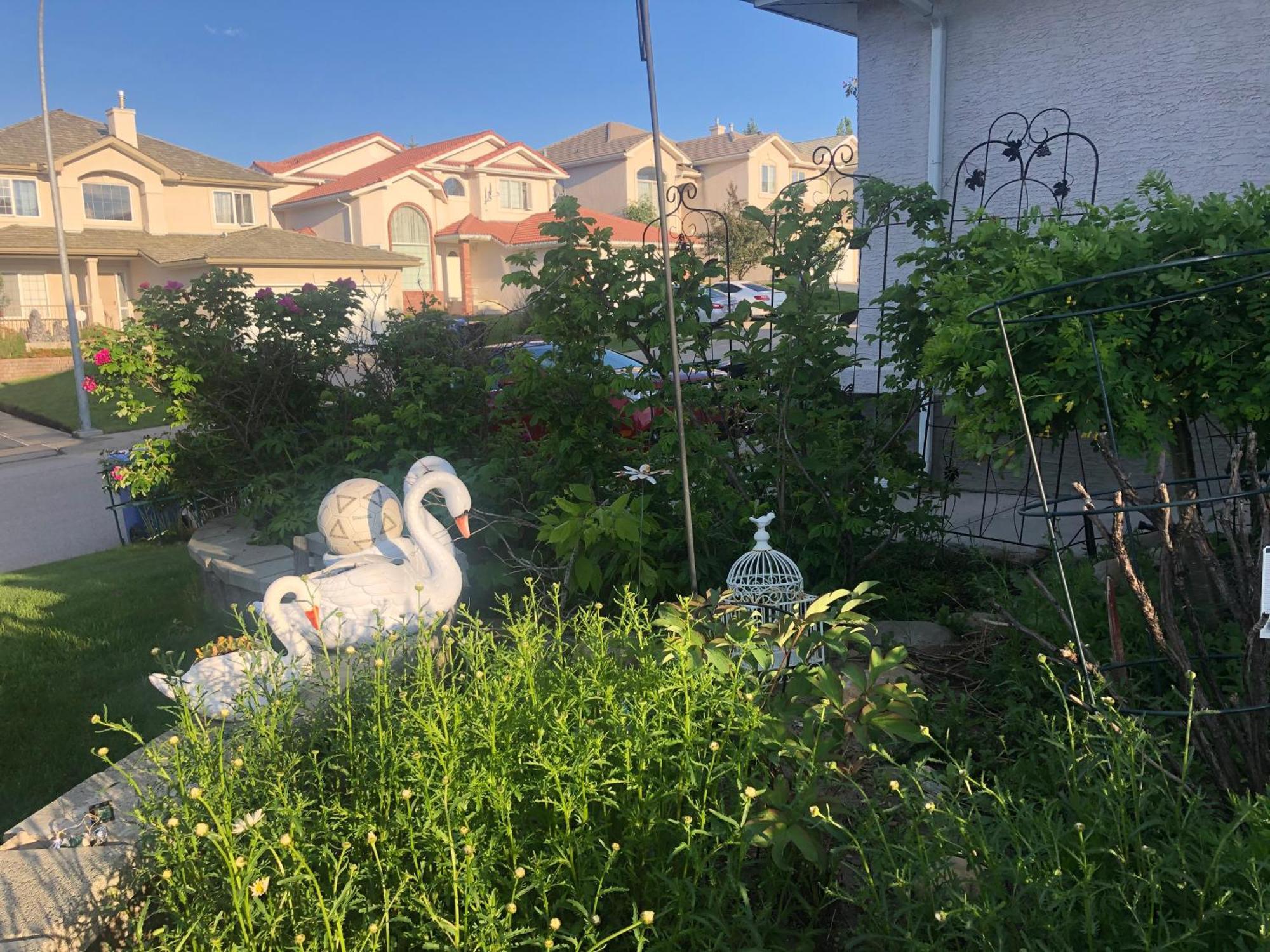 卡加利 Hamptons Rose Garden Family!酒店 外观 照片